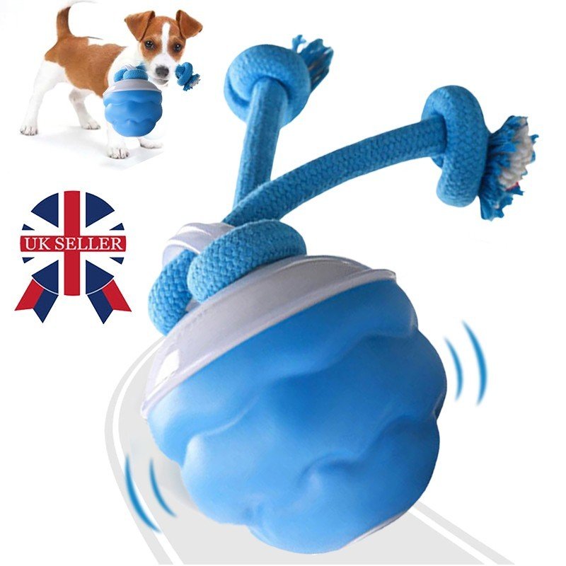 The Chase Buddy Dog Boredom Stimulating Toy - Image 5