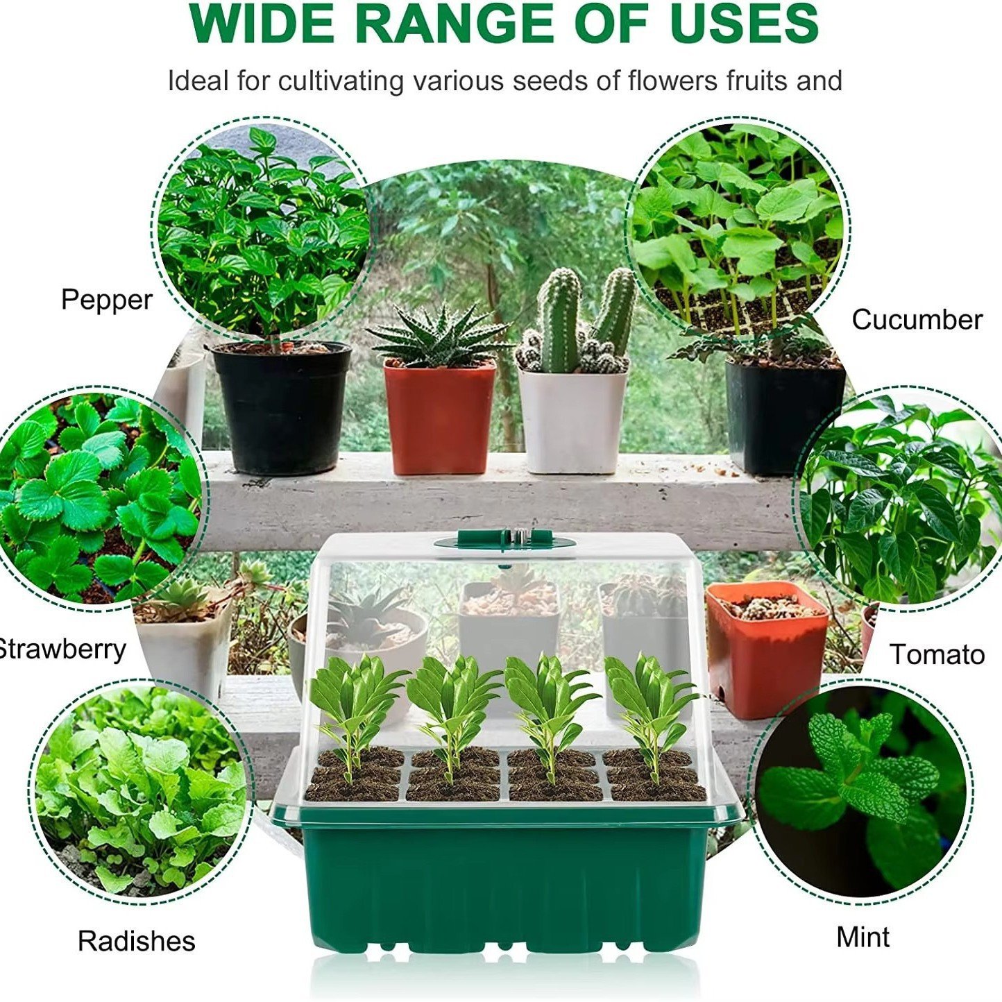 Pack Of 6 Plant Propagator Seed Tray Set - Image 9