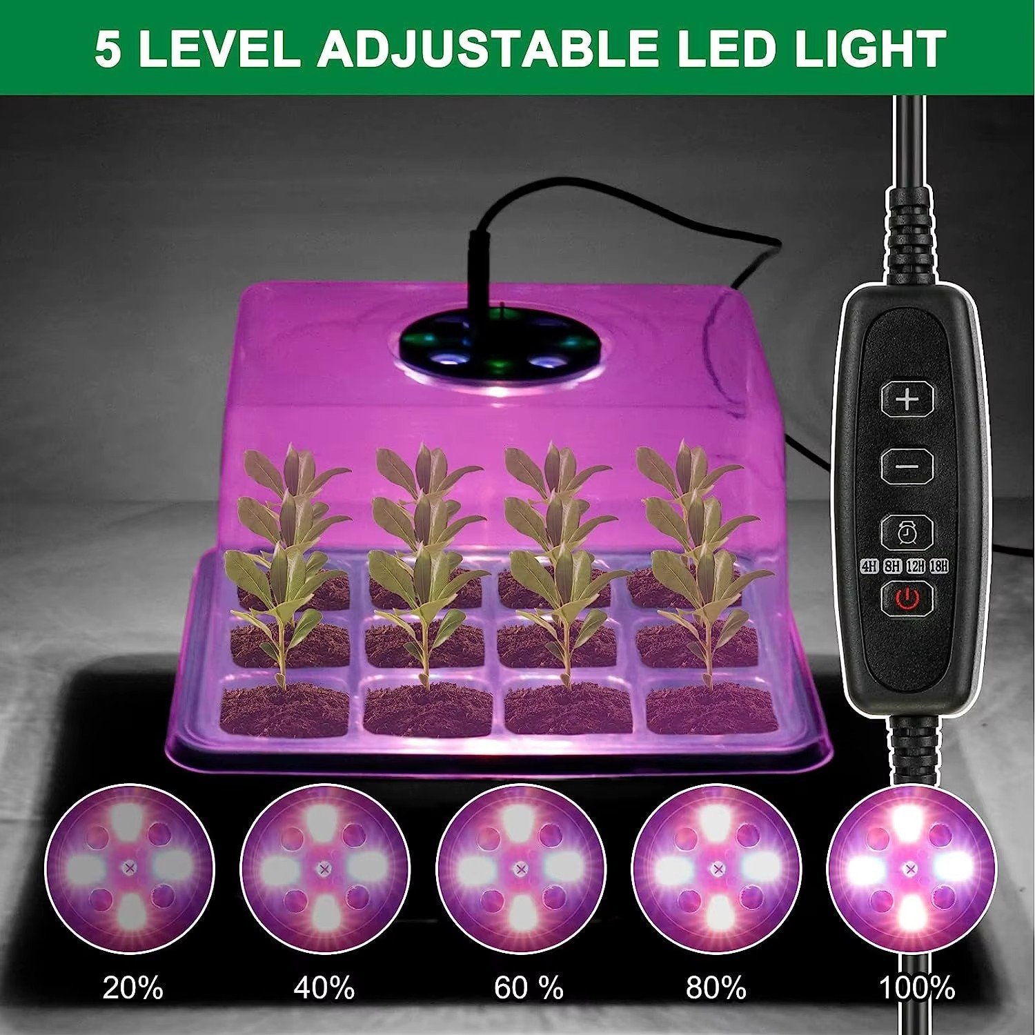 Pack Of 6 Plant Propagator Seed Tray Set - Image 3