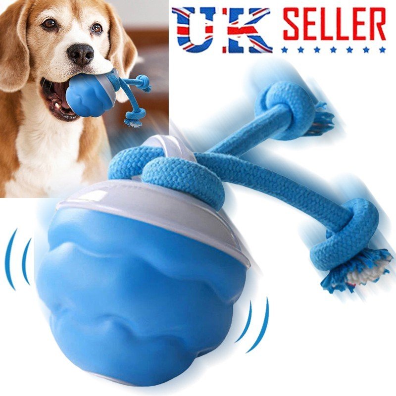 The Chase Buddy Dog Boredom Stimulating Toy - Image 10