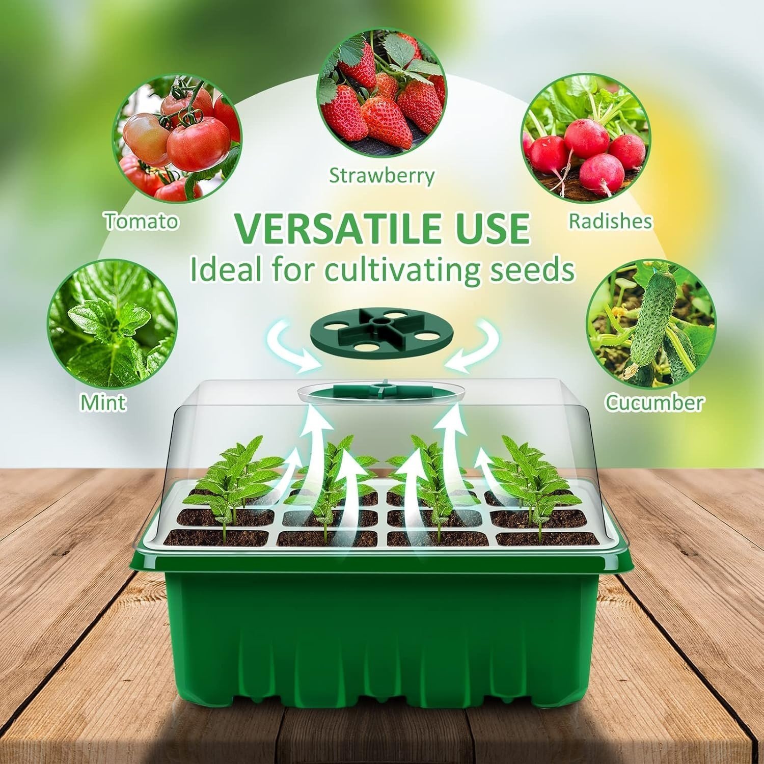 Pack Of 6 Plant Propagator Seed Tray Set - Image 2